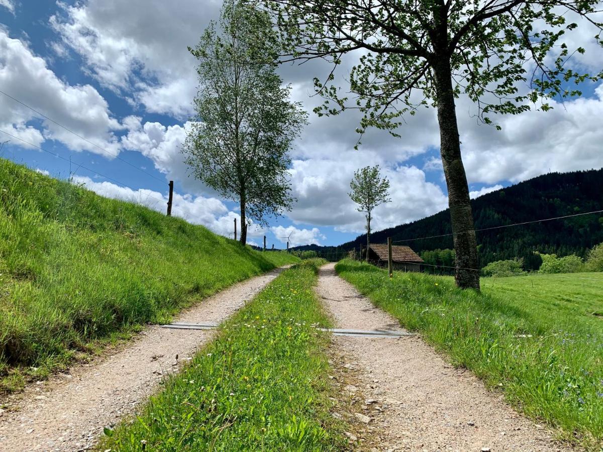 Landhotel Hirschen Oberwolfach Zewnętrze zdjęcie